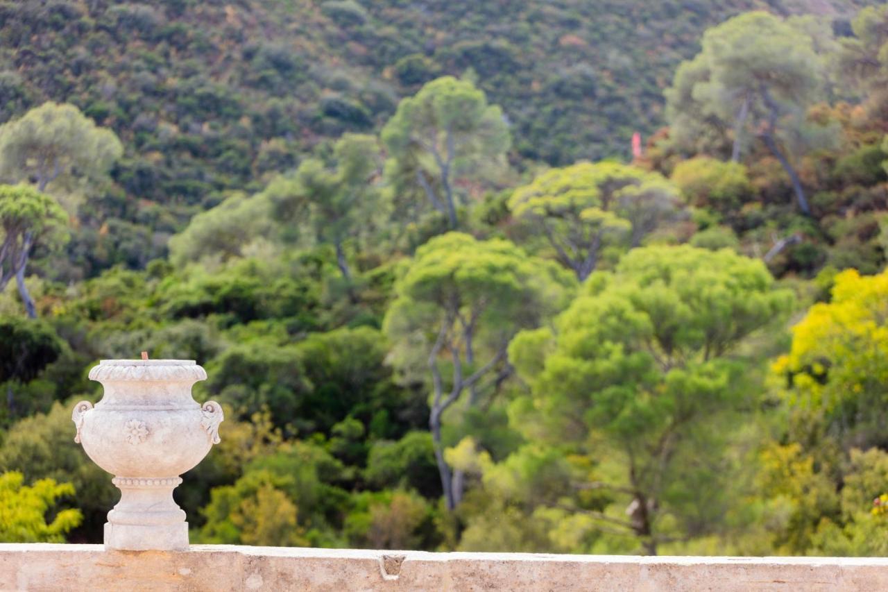 Chateau De Collias المظهر الخارجي الصورة